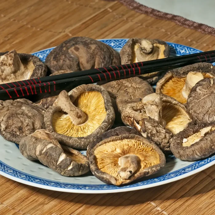 Medical mushrooms
