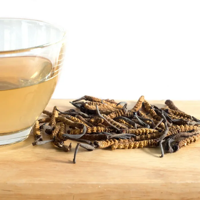 Cordyceps mushrooms with various ingredients